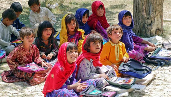 无需等待加载的ddos工具下载