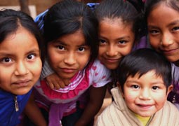 高效且节能环保的ddos工具下载